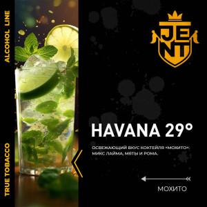 Табак JENT 100г - Havana 29° (Мохито)