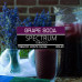 Табак Spectrum Classic line 100г – Grape Soda (Виноградная газировка)