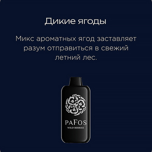 ЭС PAFOS HARD EXTRA 20000 – Wildberries (Дикие ягоды)