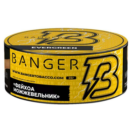 Табак Banger 25г – Фейхоа Можжевельник (Evergreen)