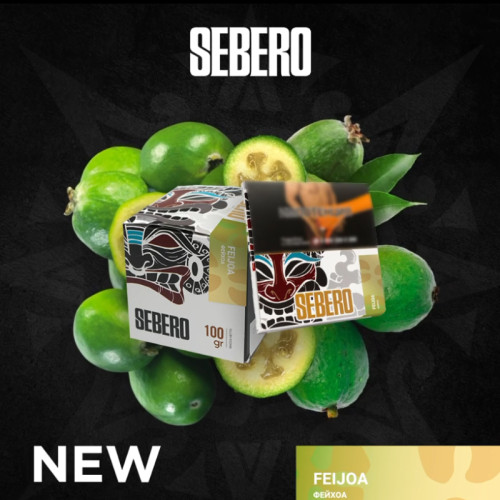 Табак Sebero 40г – Feijoa (Фейхоа)