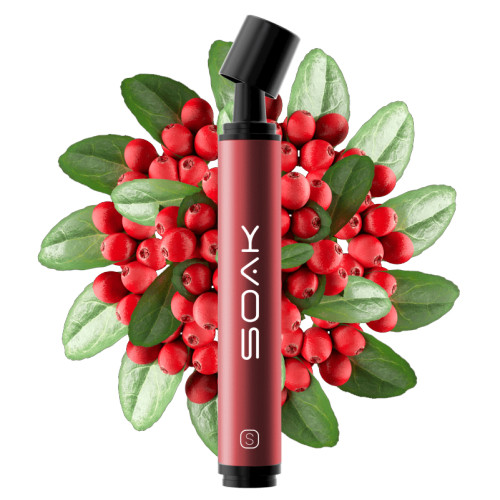 ЭС SOAK Pods S 3500 – Wild Cranberry (Дикая Клюква)